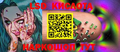 индика Обь