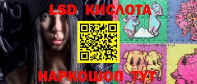 индика Обь