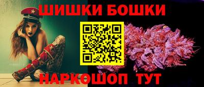 индика Обь