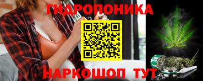 крисы Нягань