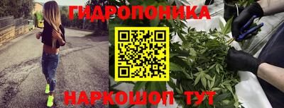 индика Обь