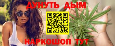 индика Обь