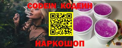 индика Обь