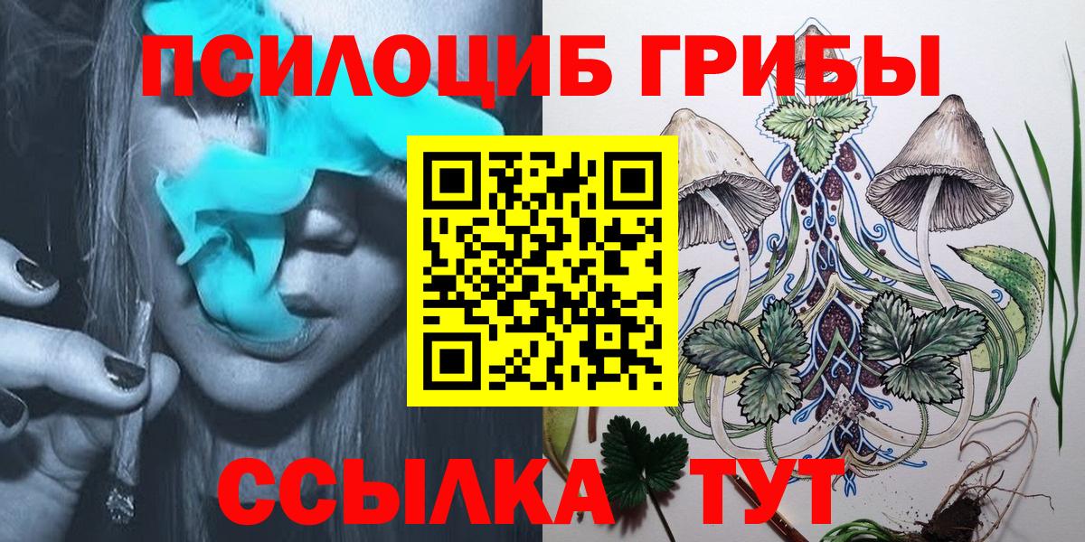 Северобайкальск  Псилоцибиновые грибы прущие грибы  Вход с VPN 