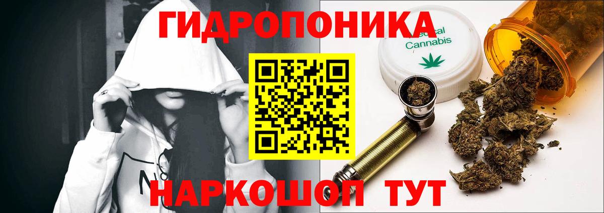 Бошки марихуана SATIVA & INDICA  Конопля THC 21%  Северобайкальск  Вход с VPN  Канабис OG Kush 